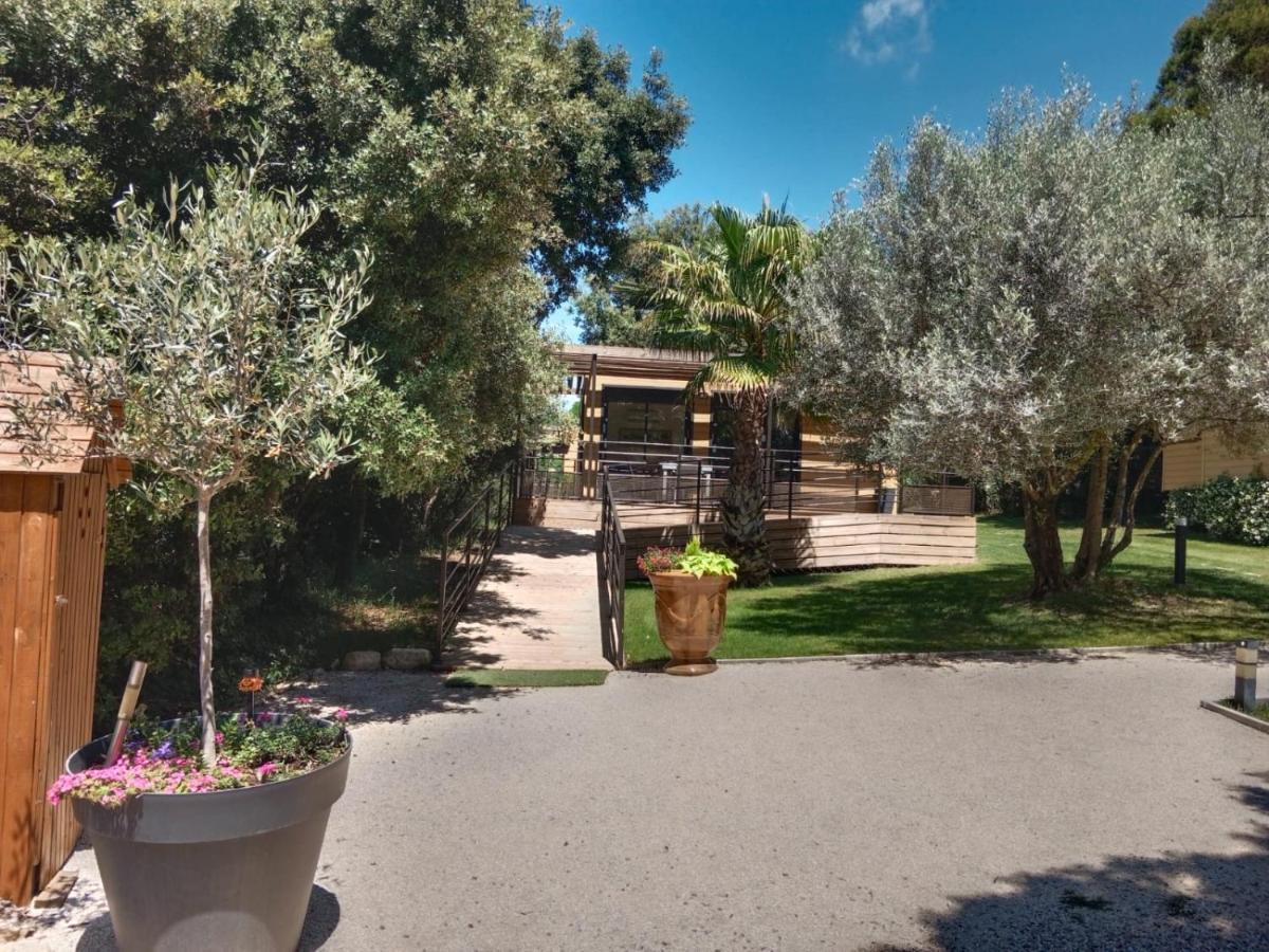 Les Troglodytes Du Ventoux Villa Bollène Dış mekan fotoğraf